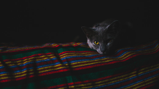 1204068 (a): :1920x1080